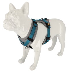 DINGO Szelki Ultra Active - czarny XS