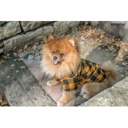 AMIPLAY Ranger Koszula dla psa - żółty 50 x 50 x 72 cm