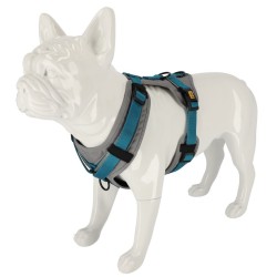 DINGO Szelki Ultra Active - bordowy M