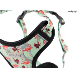 AMIPLAY Szelki Discovery Be Happy Flamingo L