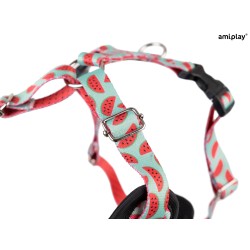 AMIPLAY Szelki Discovery Be Happy Watermelon M