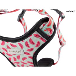 AMIPLAY Szelki Discovery Be Happy Watermelon XXL