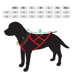 DINGO Szelki typu Sled do biegania z psem - czarny M