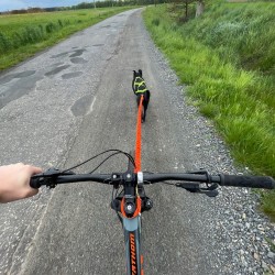 DINGO Szelki typu Sled do biegania z psem - czarny M