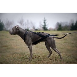 DINGO Szelki typu Sled do biegania z psem - czarny XL