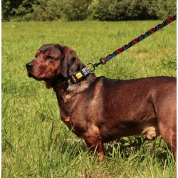 DINGO Smycz przepinana City Graffiti 3,0 x 220 cm