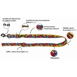 DINGO Smycz przepinana City Graffiti 2,0 x 220 cm