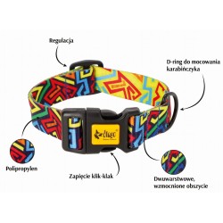 DINGO Obroża regulowana City Graffiti 2,0 x 45 cm