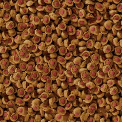 SERA Reptil Professional Carnivor Nature - granulat dla gadów (pokarm uzupełniający) 1000 ml