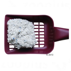 GOLDEN Grey White 14kg