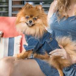 AMIPLAY Koszula Denim - granatowy 45 x 45 x 64 cm