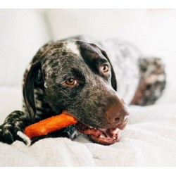 PETSTAGES Dogwood Mesquite BBQ - Patyk Petite