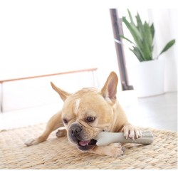 PETSTAGES Deerhorn Large