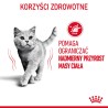 ROYAL CANIN Light Weight Care karma mokra w sosie dla kotów dorosłych, z tendencją do nadwagi 12x 85g