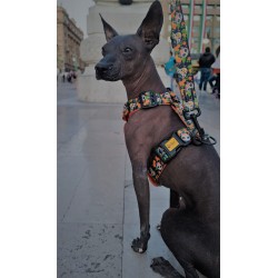 DINGO Szelki Guard City Chiapas L