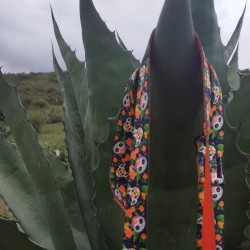 DINGO Smycz przepinana City Chiapas 3,0 x 220 cm