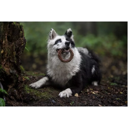 ECOMFY Zabawka Woody Ring 13 cm