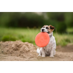 ECOMFY Zabawka Super Fly Dysk - musztardowy 23 cm