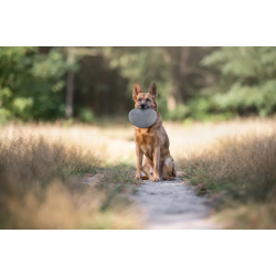 ECOMFY Zabawka Super Fly Dysk 23 cm - oliwkowy