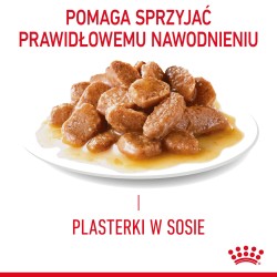 ROYAL CANIN Light Weight Care karma mokra w sosie dla kotów dorosłych, z tendencją do nadwagi 48x 85g