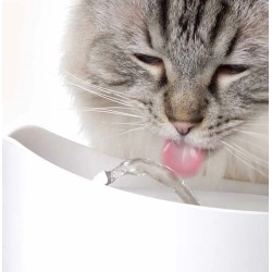 CATIT PIXI Fontanna dla kota 2,5l - biała