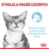 ROYAL CANIN Sensory Feel karma mokra - kawałki w sosie dla kotów dorosłych, pobudzająca percepcje tekstur 85g