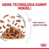 ROYAL CANIN Sensory Feel karma mokra - kawałki w sosie dla kotów dorosłych, pobudzająca percepcje tekstur 85g