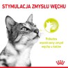ROYAL CANIN Sensory Smell karma mokra - kawałki w sosie dla kotów dorosłych, pobudzająca wrażenia węchowe 85g