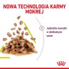 ROYAL CANIN Sensory Smell karma mokra - kawałki w sosie dla kotów dorosłych, pobudzająca wrażenia węchowe 85g