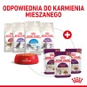 ROYAL CANIN Sensory Smell karma mokra - kawałki w sosie dla kotów dorosłych, pobudzająca wrażenia węchowe 85g