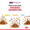 ROYAL CANIN Sensory Taste karma mokra - kawałki w sosie dla kotów dorosłych - pobudzająca wrażenia smakowe 85g