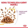 ROYAL CANIN Sensory Taste karma mokra - kawałki w sosie dla kotów dorosłych - pobudzająca wrażenia smakowe 85g