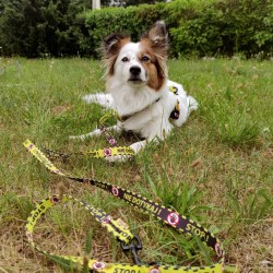 DINGO Smycz przepinana City - Nie Dotykaj 2,0 x 220 cm