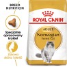 ROYAL CANIN Norwegian Forest Cat Adult karma sucha dla kotów dorosłych rasy norweski leśny 2kg
