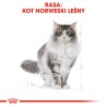 ROYAL CANIN Norwegian Forest Cat Adult karma sucha dla kotów dorosłych rasy norweski leśny 10 kg