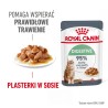 ROYAL CANIN Digest Sensitive karma mokra w sosie dla kotów dorosłych, wrażliwy przewód pokarmowy 12x 85g