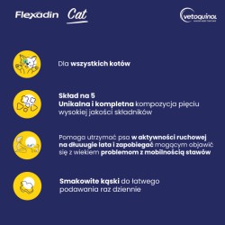 VETOQUINOL Flexadin Cat 60 kąsków
