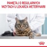 ROYAL CANIN Digest Sensitive karma mokra w sosie dla kotów dorosłych, wrażliwy przewód pokarmowy 24x 85g