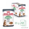 ROYAL CANIN Digest Sensitive karma mokra w sosie dla kotów dorosłych, wrażliwy przewód pokarmowy 48x 85g