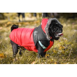 ZOLUX Ubranko puchowe Mountain - czerwony 40 cm