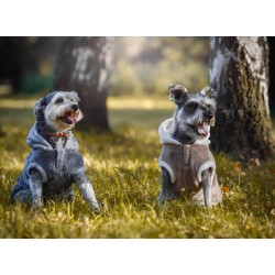 ZOLUX Sweterek Teddy - brązowy 25 cm