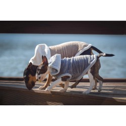 ZOLUX Sweterek Teddy - szary 40 cm