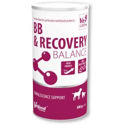 VETFOOD BB & Recovery Balance 20 g