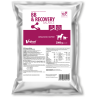 VETFOOD BB & Recovery Balance 500g