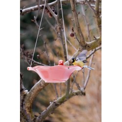 ZOLUX Poidło/basen ceramiczny z figurką ptaka - ceglasty