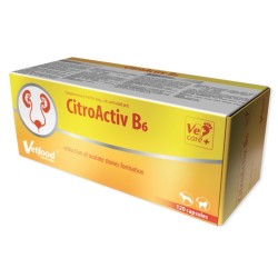VETFOOD CitroActiv B6 120 kapsułek