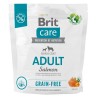 BRIT CARE Dog Grain-Free Adult Salmon 3 kg