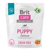 BRIT CARE Dog Grain-Free Puppy Salmon 3 kg