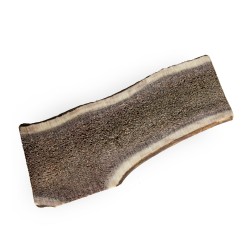 Antler dog chew/ gryzak z  poroża jelenia 1/2 Rozmiar M - ok 51-80 g