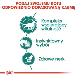 ROYAL CANIN Instinctive +7 w sosie karma mokra w sosie dla kotów starszych, wybrednych 85g